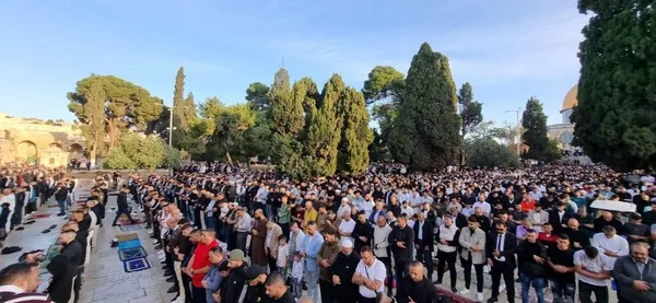 شکوه عید در قبله اول | قاب‌هایی از نماز عید قربان در مسجدالاقصی + فیلم و عکس