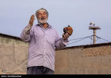 ایران زیباست | همزیستی لک لک‌ها در روستای کپر جودکی بروجرد با مردم روستا