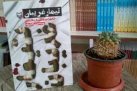 پرستاری زیر بمباران | نگاهی به کتاب «تیمار غریبان»

پرستاری زیر بمباران