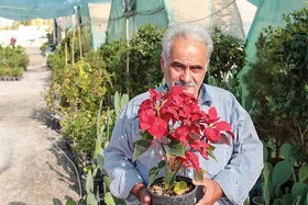 گفتگو با یکی از گلخانه&zwnj;داران بزرگ قرقی | کیمیاگری از خاک شروع شد