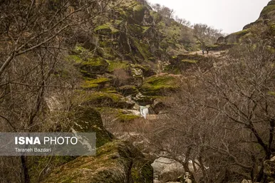 ایران زیباست | مخمل کوه در گستره زاگرس - لرستان