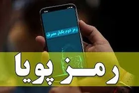 رمز دوم پویا به صورت مرحله&zwnj;ای از امروز اول دی اجرا می&zwnj;شود