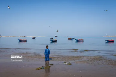 ایران زیباست | سواحل خلیج فارس