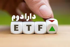 دارا دوم چیست؟