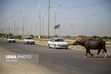 منطقه گاومیش آباد در اهواز