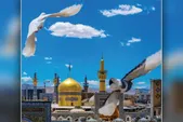 کبوتر‌های یاد و سلام