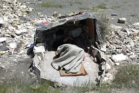 تراژدی یک کارتن خواب