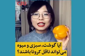 ویدئو/آیا گوشت، سبزی و میوه می&zwnj;تواند ناقل ویروس کرونا باشد؟