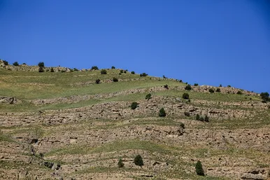 ایران زیباست | طبیعت پارک ملی تندوره