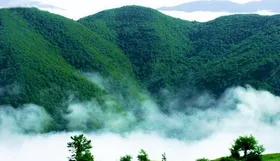 ویدئو| منظره&zwnj;ای در قلب کوهستان سوادکوه