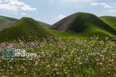ایران زیباست | بهارِ گلستان