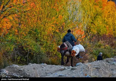 ایران زیباست | پاییز در ارسباران
