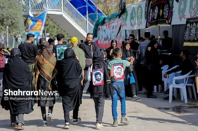 زائران پیاده امام رضا (ع)