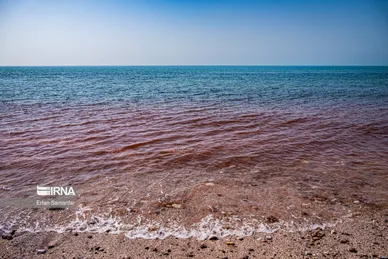 ایران زیباست | سواحل خلیج فارس
