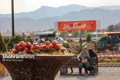 جشنواره‌ی طعم و رنگ پاییز
