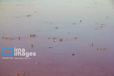 گزارش تصویری | بازگشت گردشگران به دریاچه ارومیه
