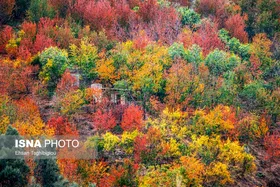 ایران زیباست | پاییز هزار رنگ در روستای &laquo;شیت&raquo;