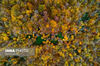 جایی میان پاییز و زمستان