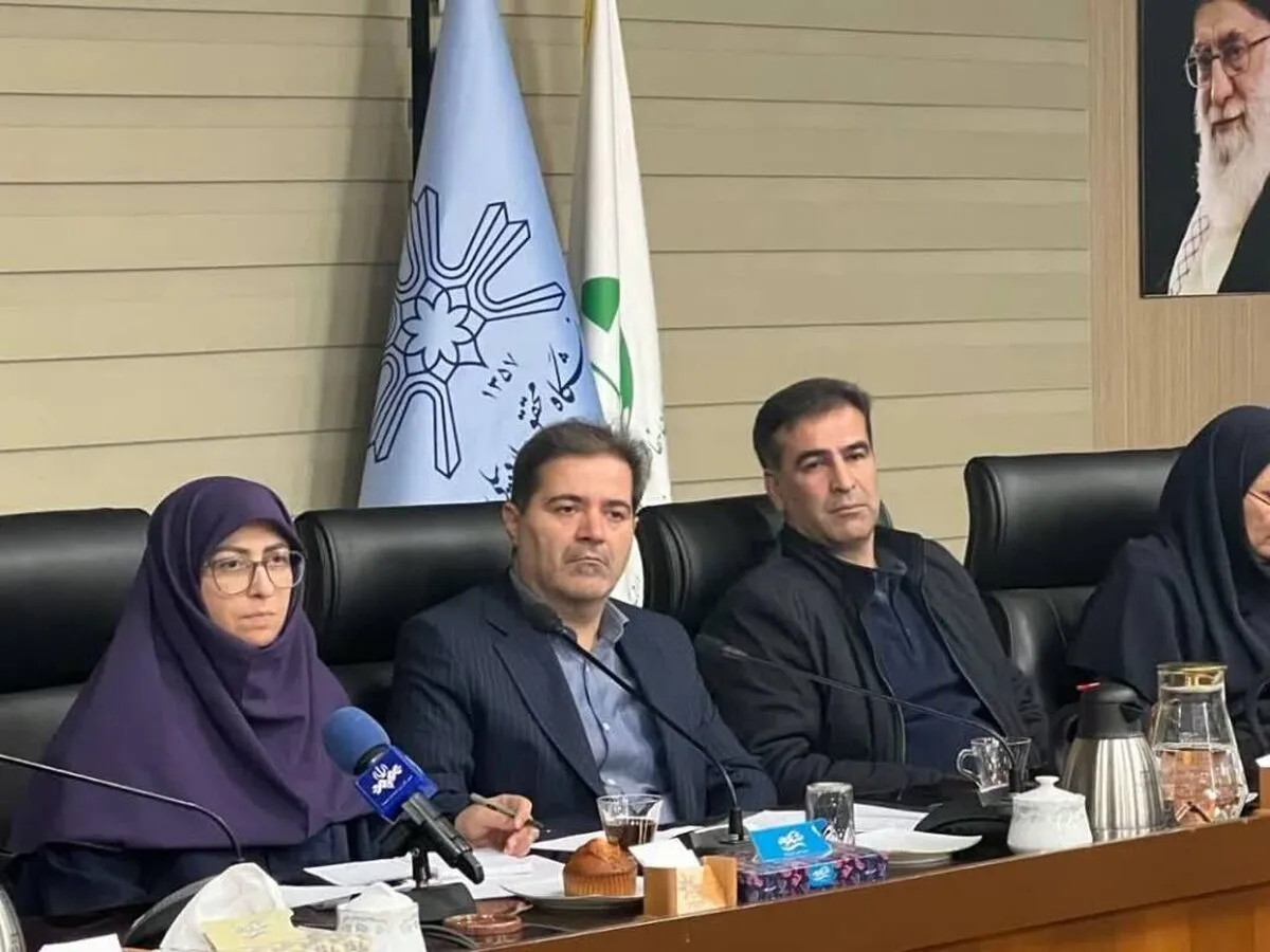 رئیس سازمان حفاظت محیط زیست: فرونشست زمین در ۳۰ استان گزارش شد