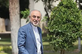 انتقاد علی&zwnj;اکبر صالحی از عدم اعطای تابعیت به نخبگان خارجی در کشور
