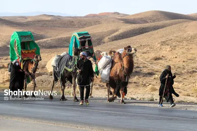 زائران پیاده امام رضا (علیه السلام)