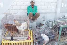 ذبح بهداشت در بازار فروش مرغ زنده مشهد