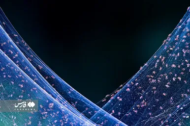 عکس‌هایی از طبیعت