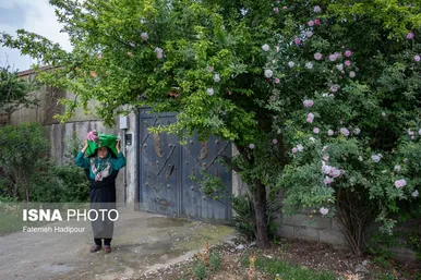 گزارش تصویری | کاروان زیر سایه خورشید - گیلان