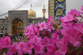 ویژه&zwnj;برنامه&zwnj;های حرم امام&zwnj;رضا(ع) در روز عید قربان