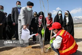 رئیس جمهور: دستگاه&zwnj;های دولتی از تغییر کاربری اراضی کشاورزی ممانعت کنند