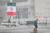 برف‌تکانی درختان و برف‌روبی معابر در مشهد ادامه دارد | هزار پاکبان در سطح شهر مشغول عملیات هستند (۲۸ آذر ۱۴۰۴)