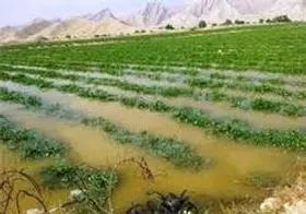 هشدار هواشناسی استان به کشاورزان / دمای استان به زیر صفر می&zwnj;رسد