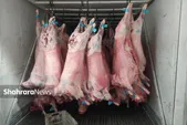 کاهش قیمت گوشت | رقابت در بازار گوشت شروع شد (۲۳ بهمن ۱۴۰۴)