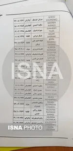 اعلام اسامی مسافران هواپیمای اوکراینی+ عکس