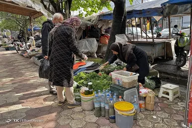 ایران زیباست | طعم زندگی در بازار روز بندر انزلی