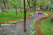 جشنواره‌های شهری مشهد فرصتی برای نشاط مومنانه و تزریق حال خوب به شهروندان است