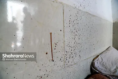 بازسازی صحنه قتل با آسفالت خیابان در مشهد