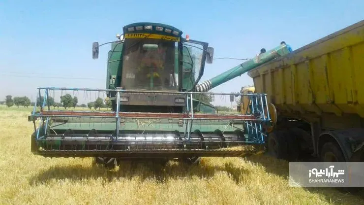 برداشت جو از ۲۱ هزار هکتار اراضی کشاورزی مشهد