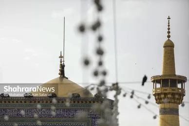 گزارش تصویری | مراسم پر فیض دعای عرفه در حرم مطهر رضوی | سه شنبه ۵ خرداد ۱۴۰۵