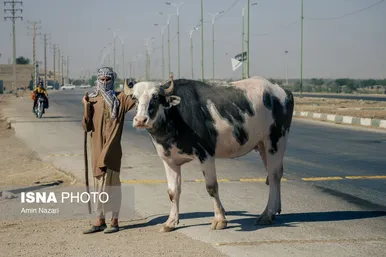 منطقه گاومیش آباد در اهواز