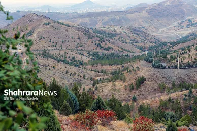 طبیعت پاییزی بوستان های مشهد