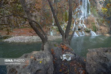 ایران زیباست | روستا و آبشار «بیشه» لرستان