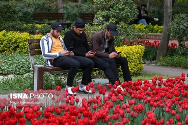 لاله‌های بوستان باغ ایرانی