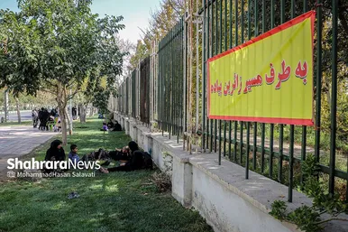 زائران پیاده امام رضا (ع)