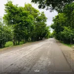 افغانستان زیباست + عکس