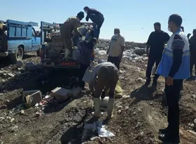 بیش از ۱۴ تن موادغذایی غیربهداشتی در نیشابور نابود شد (۷ اردیبهشت ۱۴۰۴)