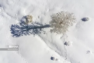 ایران زیباست | گلستان برفی
