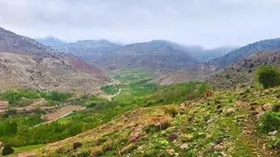 شهروند خبرنگار| طبیعت جنگل ارس سیستان، هزار مسجد در استان خراسان رضوی