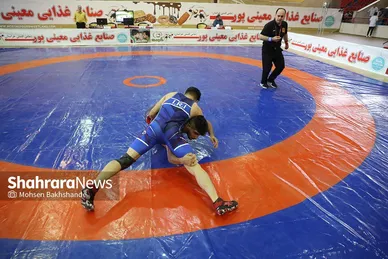 مسابقات کشتی گروه چهارم لیگ دسته یک کشور