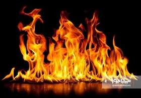 محکومیت قاتل مدیر اداره برق ناحیه ۲ مشهد به قصاص